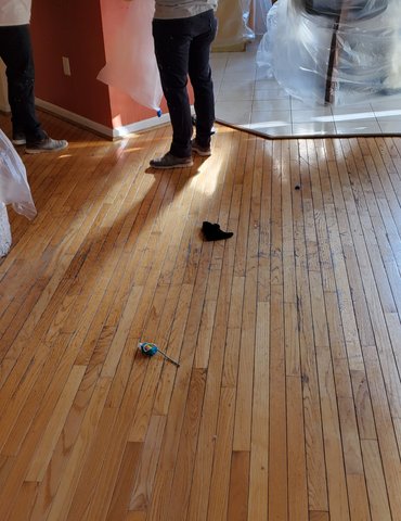 Preparing Hardwood Floors for Refinishing by MM Flooring in Crofton, MD